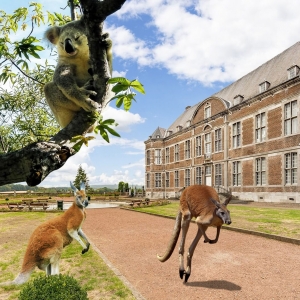 Espèces en voie de disparition à l’Abbaye de Floreffe © « Festival Esperanzah »