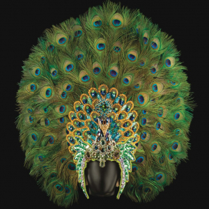 "Le fabuleux Carnaval de Rio" : "L’Élégance du Paon", sa Coiffe de "Destaque"/2015 © Alain Taillard