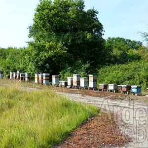 Alain Paublanc-4451 Alain Paublanc-4451