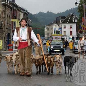 Myrtilles de Vielsalm-214