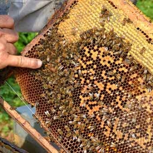 Alain Paublanc-4449 Alain Paublanc-4449