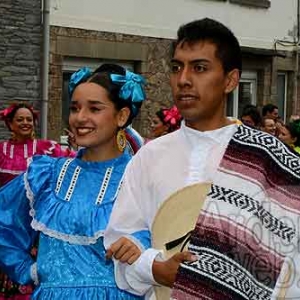 Myrtilles de Vielsalm-169