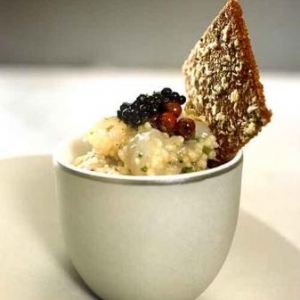 Kopie-van-tartaar Kopie-van-tartaar