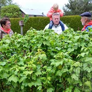 Bastogne Nature admise-5338 Bastogne Nature admise-5338