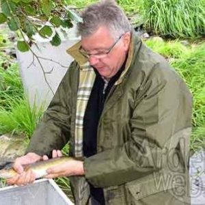 electropeche-1334 electropeche-1334