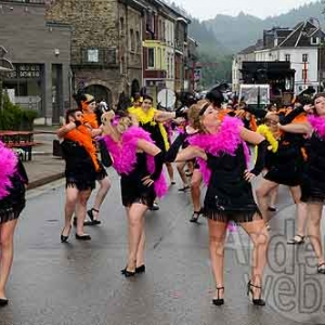 Myrtilles de Vielsalm-178