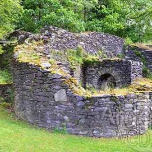 Chateau des comtes de Salm_3431
