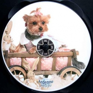 ardenne TV ardenne TV