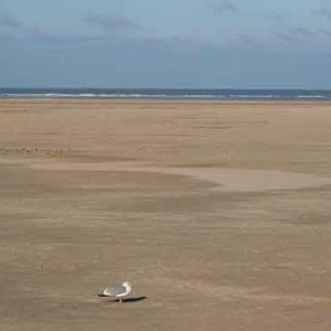 plage de Zeebrugge