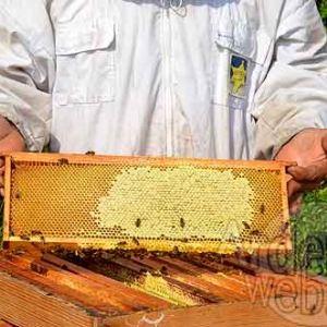 Alain Paublanc-4442 Alain Paublanc-4442