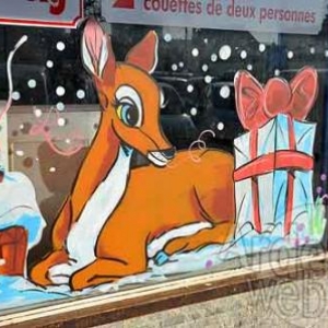 vitrine de Noel - photo 4764