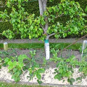 Bastogne Nature admise-5336 Bastogne Nature admise-5336