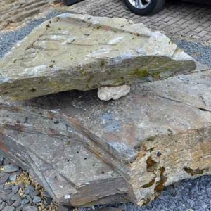 Engreux route des sculptures-9255 Engreux route des sculptures-9255