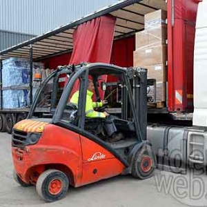 Palifor Logistics-7684