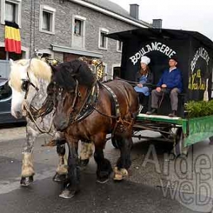 Myrtilles de Vielsalm-253