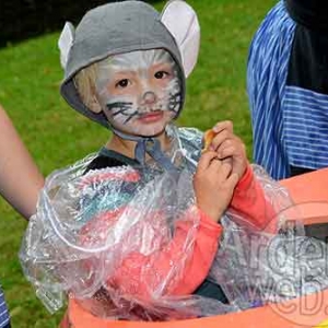 Myrtilles de Vielsalm-286