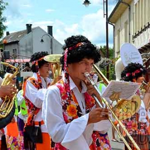 Carnaval du Soleil - 7823 Carnaval du Soleil - 7823