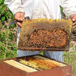 Alain Paublanc-4436 Alain Paublanc-4436