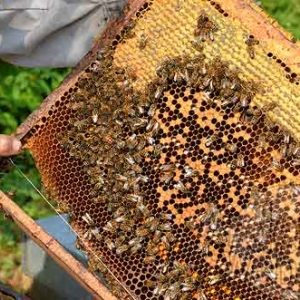 Alain Paublanc-4448 Alain Paublanc-4448