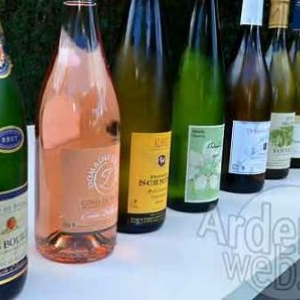 Vin HUET et HUBERMONT_3401