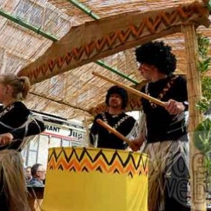 Carnaval du soleil 2011 - 9590 - video 06 Carnaval du soleil 2011 - 9590 - video 06