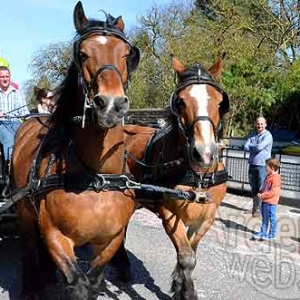 Carnaval de Hotton-3509