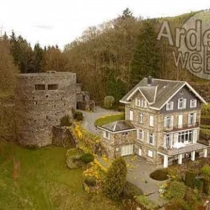 Chateau de Salmchateau