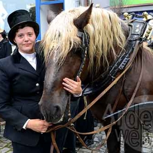 Myrtilles de Vielsalm-035