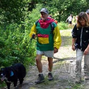 MESA 2011 - Vielsalm - 4280 MESA 2011 - Vielsalm - 4280