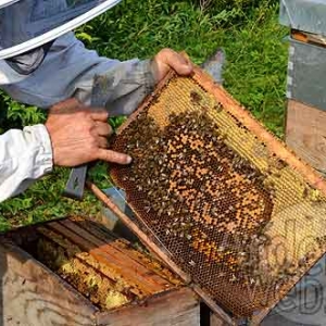 Alain Paublanc-4450 Alain Paublanc-4450