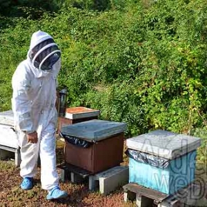 Alain Paublanc-4433 Alain Paublanc-4433