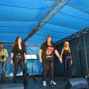 Music city singers - Wibrin-529 Music city singers - Wibrin-529