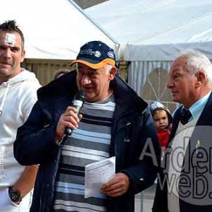 Cheval de trait ardennais-478 Cheval de trait ardennais-478