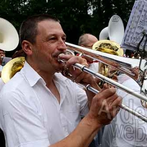 Myrtilles de Vielsalm-044