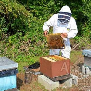 Alain Paublanc-4437 Alain Paublanc-4437