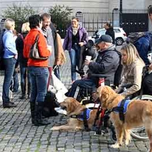 Chiens pour aveugles