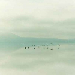 Juste comme une aquarelle : Flamants roses sur les etangs ! Juste comme une aquarelle : Flamants roses sur les etangs !