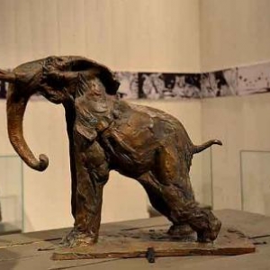 Exposition Didier Comes - 1419