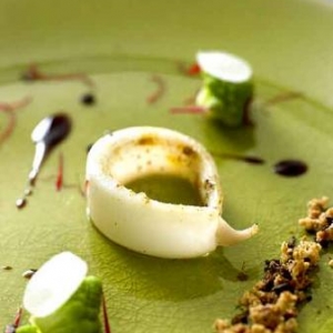 pijlinktvis pijlinktvis