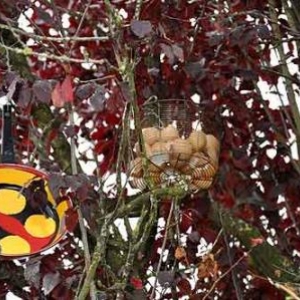 Jean-Marie Collet Jean-Marie Collet