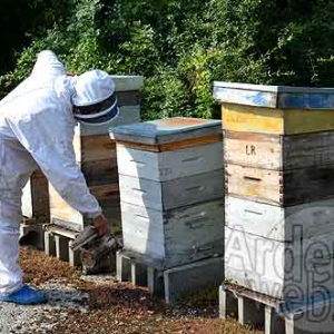 Alain Paublanc-4439 Alain Paublanc-4439