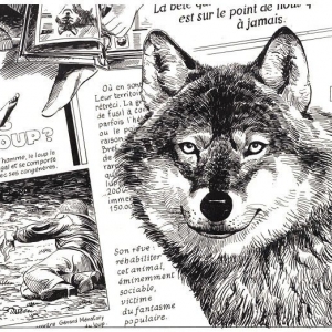 Jean-Claude Servais. Au-delà du trait