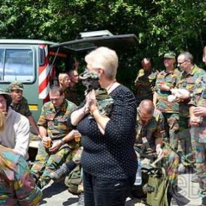 MESA 2011 - Vielsalm - 4420 MESA 2011 - Vielsalm - 4420