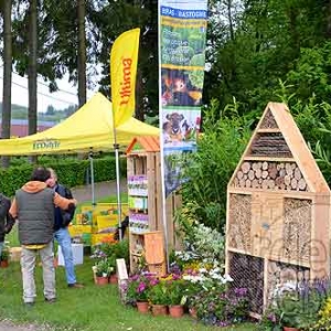 Bastogne Nature admise-5325 Bastogne Nature admise-5325