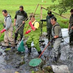 electropeche-1349 electropeche-1349