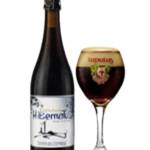 Lupulus Hibernatus Brasserie Lupulus Lupulus Hibernatus Brasserie Lupulus