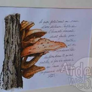 Artistes  Achouffe - photo 3020
