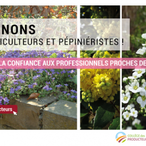 Réouverture des jardineries et pépinières : 