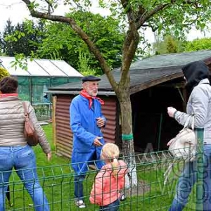 Bastogne Nature admise-5330 Bastogne Nature admise-5330