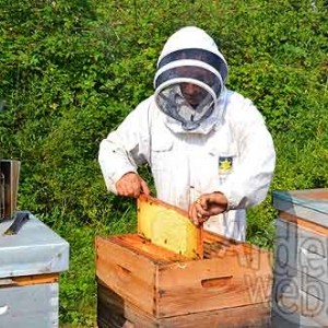 Alain Paublanc-4440 Alain Paublanc-4440